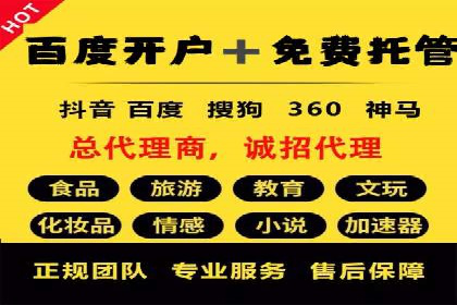 SEM推广策略：成功案例解析